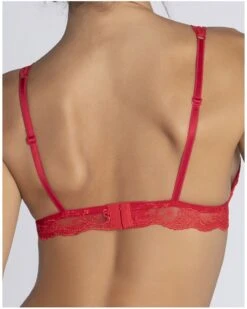 Soutien-gorge Triangle Lise Charmel Splendeur Soie (Splendeur Rouge) -Magasin De Lingerie De Mode soutien gorge triangle lise charmel splendeur soie splendeur rouge 3