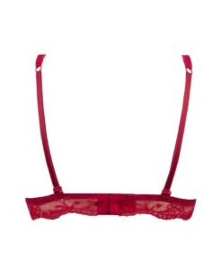 Soutien-gorge Triangle Lise Charmel Splendeur Soie (Splendeur Rouge) -Magasin De Lingerie De Mode soutien gorge triangle lise charmel splendeur soie splendeur rouge 5